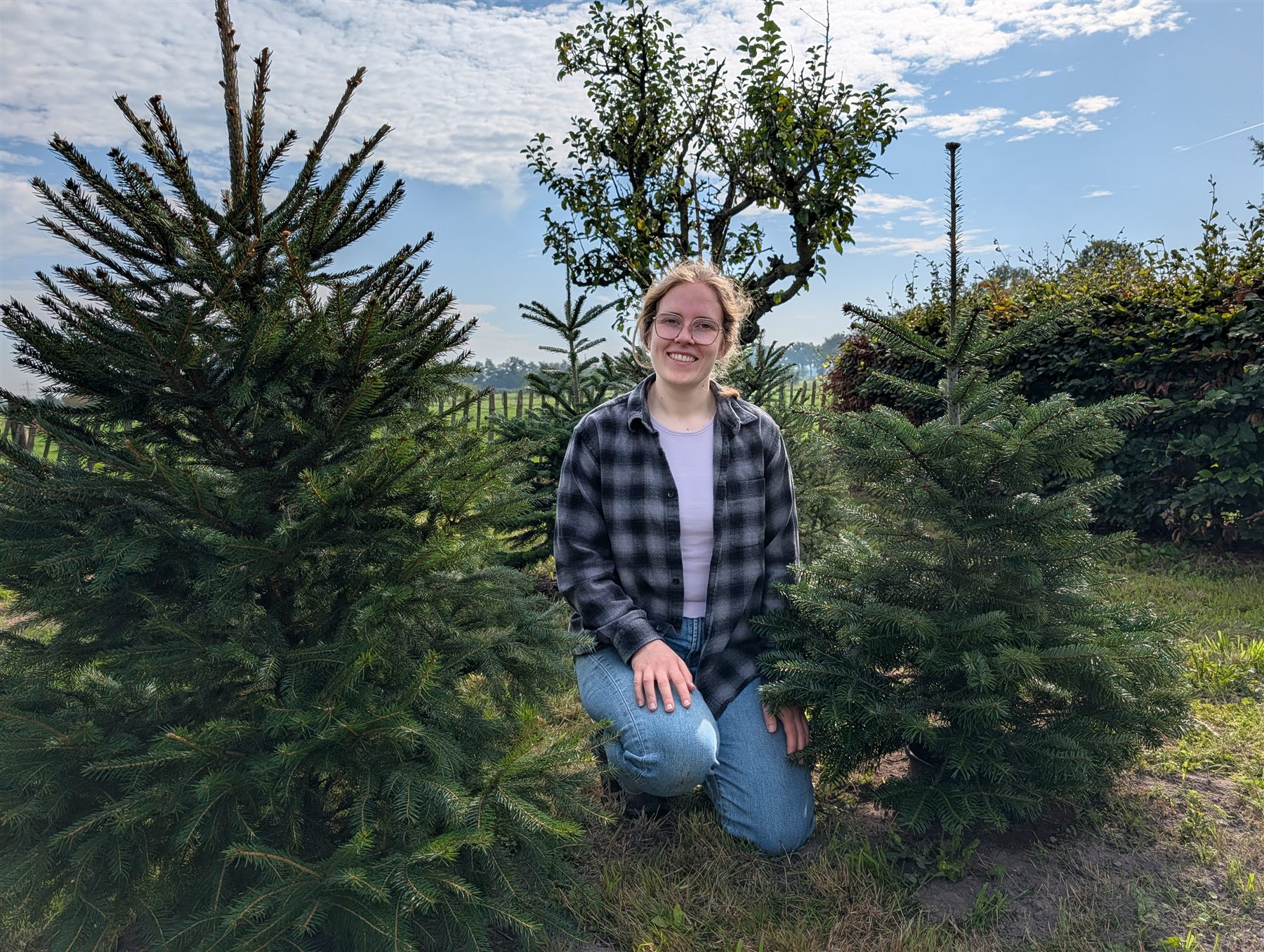 Kerstbomenperceel aan de rand van de Weerterheide