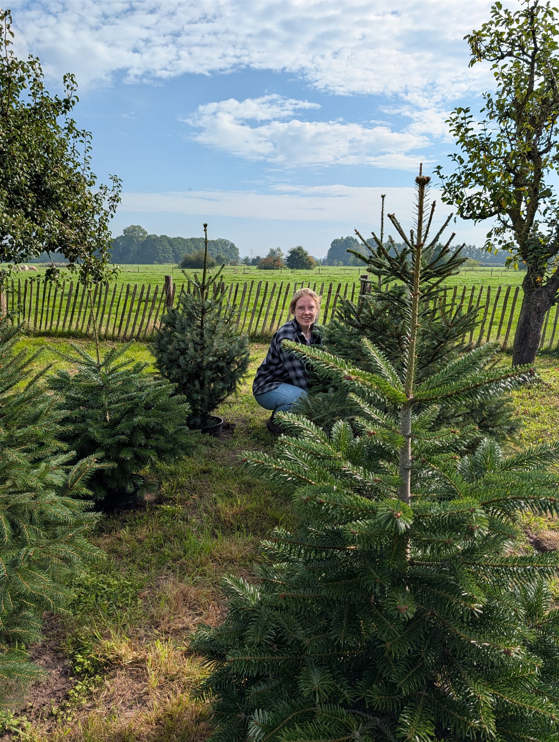 Familie kiest kerstboom uit op het boerderijerf